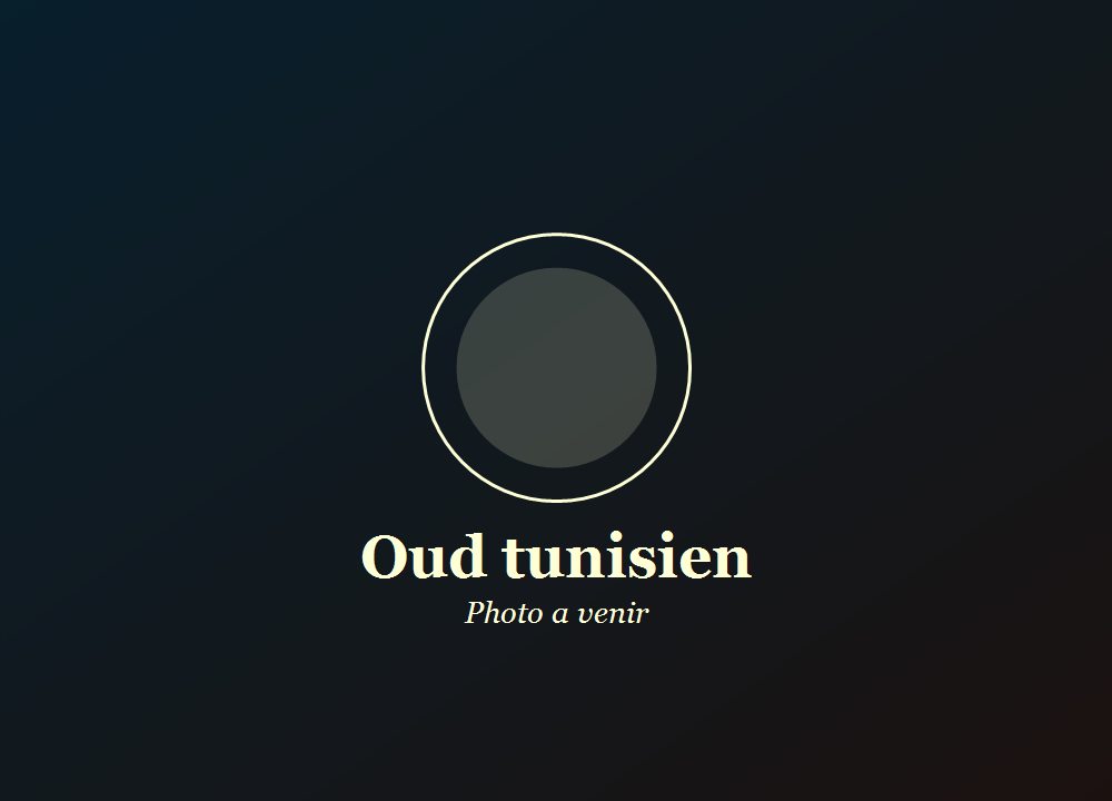 Oud tunisien