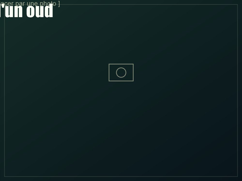 Détail d'un oud